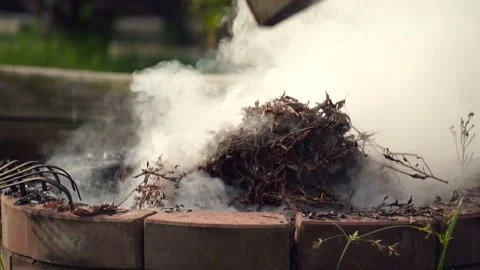 Fire bonfire. Close-up shot of the flames burning in the garden. White smoke  Video stock 220763867