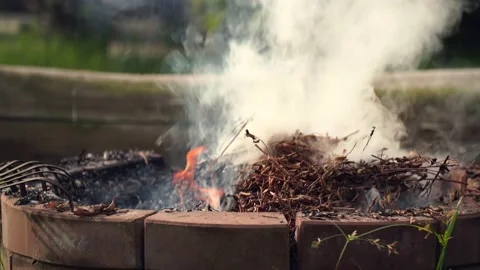 Fire bonfire. Close-up shot of the flames burning in the garden. White smoke  Video stock 220763922