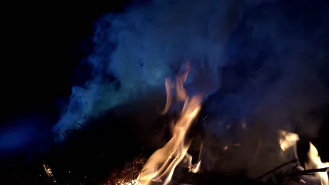 Fire bonfire. Close-up shot of the flames burning in the garden 動画素材 225454668