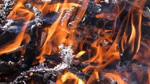 Fire, bonfire. Dry branches are burning. Stock Footage 90397136