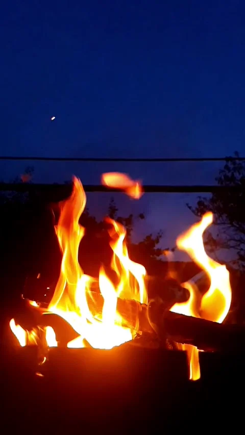 Fire bonfire Stock Footage 236845237