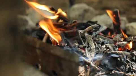 Fire. Bonfire in the forest.Camping Stock Footage 99977614