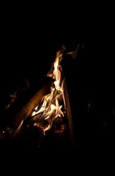 Fire bonfire. 写真素材