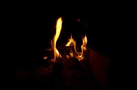 Fire bonfire. 写真素材