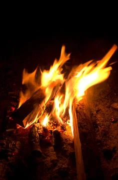 Fire bonfire. 写真素材