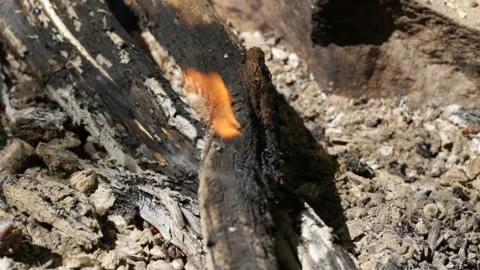 Fire from bonfires Video stock 90481007