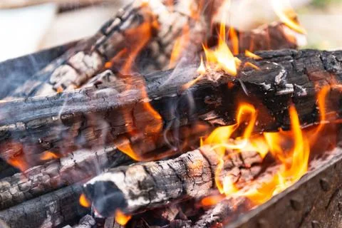 Fire in brazier. Stock Photos