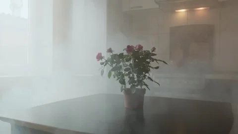 A fire breaks out in an apartment during the daytime due to negligence, filling Stock Footage 305829978