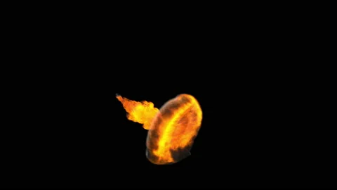  Fire breathing dragon Video stock 137679255