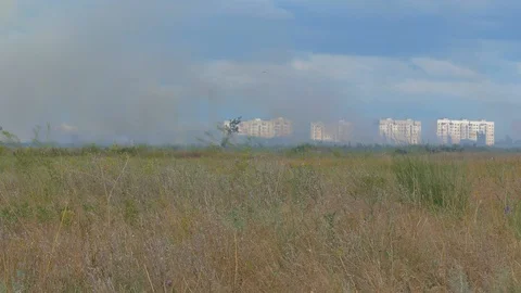 Fire brigade came to extinguish a fire on the field Stock-Footage 123575639