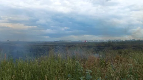 Fire brigade came to extinguish a fire on the field on which the grass is burnin Vídeos de archivo 123576498