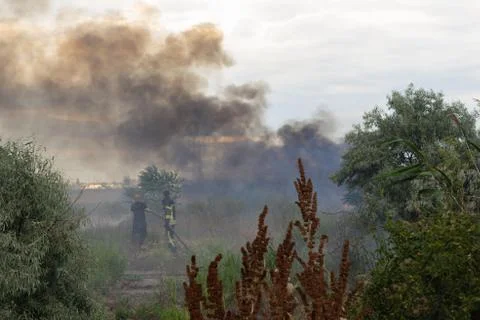A fire brigade on a fire engine extinguishes a forest fire. Inscriptions on t Stock Photos