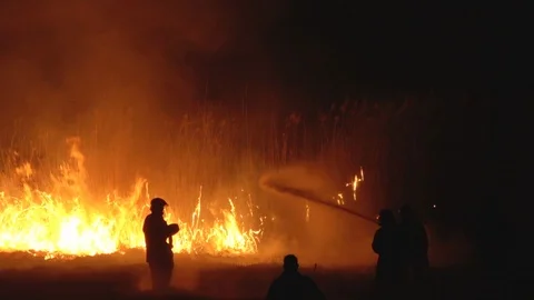 Fire brigade firefighters in a night field Slow motion Stock Footage 104115166