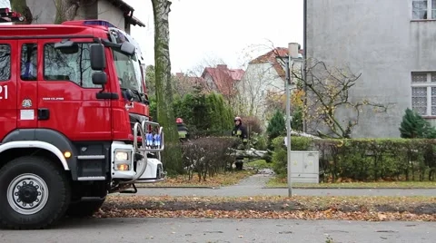 The fire brigade removed the fallen tree by a strong wind Video stock 57214339