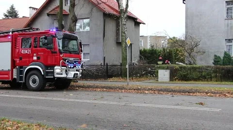 The fire brigade removed the fallen tree by a strong wind Stock Footage 57214914