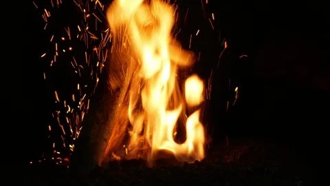 Fire burn pellets with spruce sawdust into the delivery strew bio wooden, boiler Stock Footage 99591696