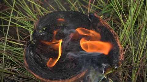 The fire burned the coconut husk. Stock Footage 272954572