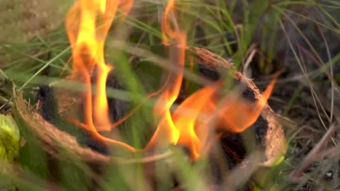 The fire burned the coconut husk. Video stock 272957870
