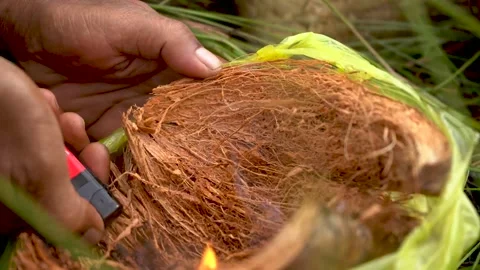 The fire burned the coconut husk. Video stock 272958384