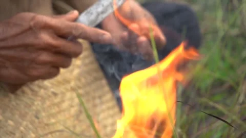 The fire burned the coconut husk. Stock-Footage 272958552