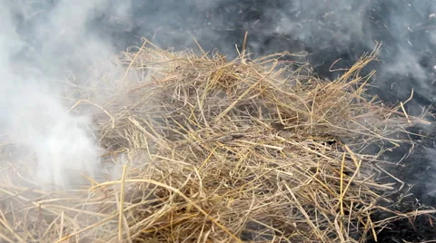 Fire burning and smoke Video stock 32512139