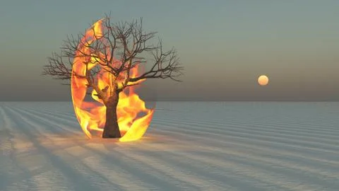 Fire burning around tree in desert sands Stock Illustration