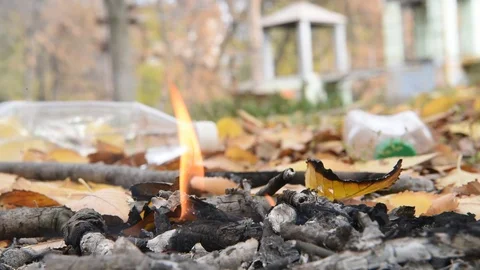 The fire is burning. Autumn. Leaf. Embers on fall foliage Stock Footage 101355932