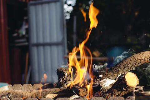 The fire is burning on the background of the tree Foto stock