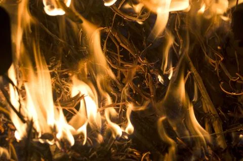 The fire from the burning bales of soya 写真素材
