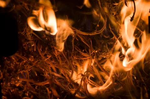 The fire from the burning bales of soya Stock Photos