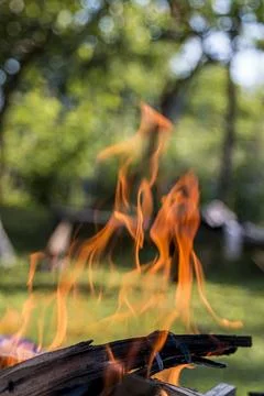 Fire burning in a barbecue close-up. 스톡 사진