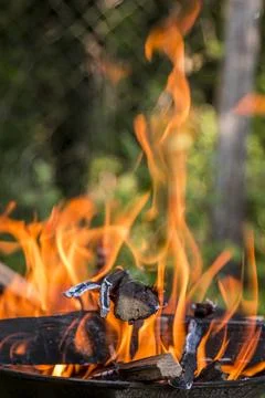 Fire burning in a barbecue close-up. 스톡 사진