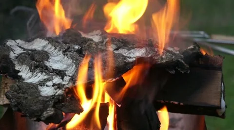 The fire is burning birch bark Stock-Footage 10860490