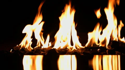 Fire burning on a black background Stock Footage 48098167