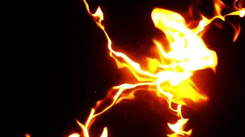 Fire Burning on Black Background Stock Footage 88604363