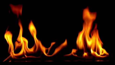 Fire Burning on black background Stock Footage 168316527