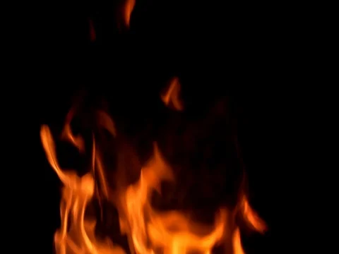 Fire burning on black background. slow motion Stock Footage 78530390
