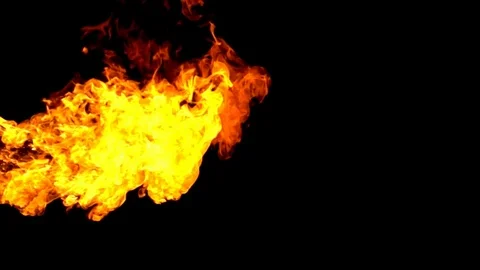 Fire burning on black background slow motion Stock Footage 91494545