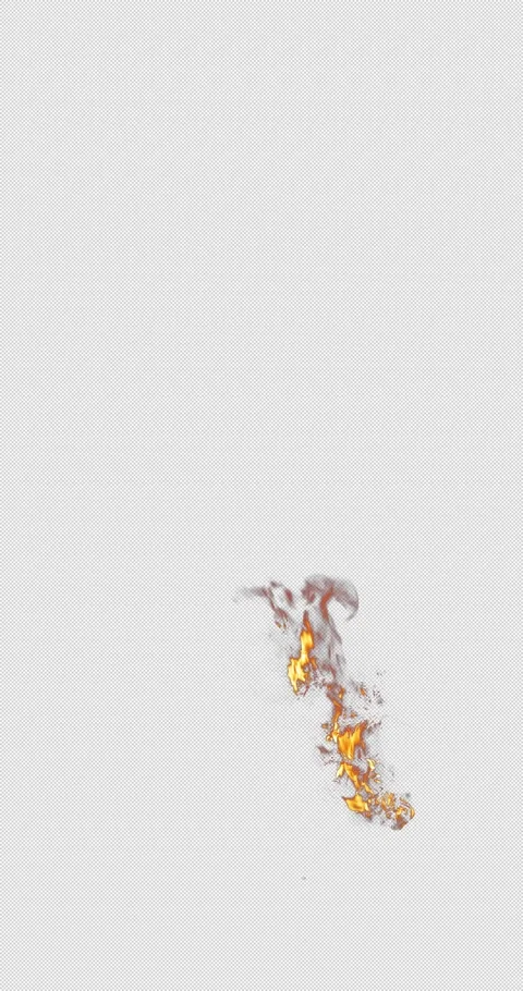 Fire burning branch closeup overlay 4k video footage black background Stock Footage 309702417