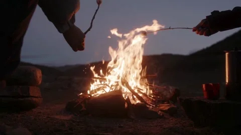 The fire is burning the branches on black background Stock Footage 275647452