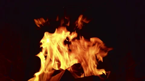 Fire burning brightly in a dark space with various movements and patterns Stock Footage 344320795