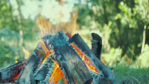 A fire is burning, Burning fire. Fireplace in nature a static shot, slow motion Stock Footage 163369026