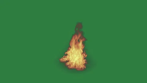Fire Burning With Burns - Chroma Key Green Screen Footage 库存影片 338012987