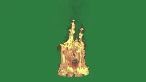 Fire Burning With Burns - Chroma Key Green Screen Footage Stock Footage 338013020