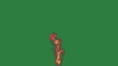 Fire Burning With Burns On Chroma Key For Compositing Stock-Footage 338015684