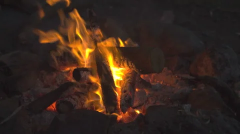 Fire || Burning Campfire at the Danish Landside || Denkmark Stock Footage 40969735