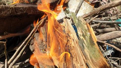 Fire burning Campfire Stock Photos
