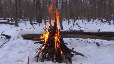 A fire is burning in a clearing in the winter forest Stock Footage 122517151