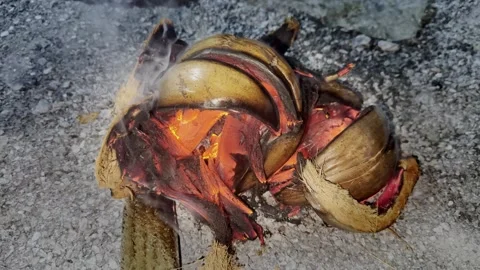 Fire burning coconut husks with flames and smoke Stock Footage 304730401