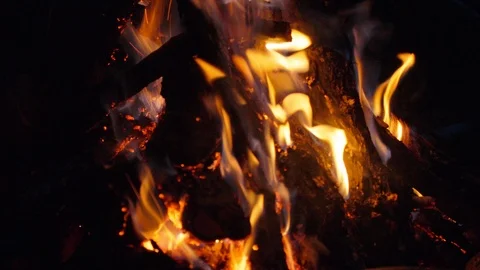 The fire is burning in the dark, in the forest. Wood in the fireplace and flames Stock Footage 126992576